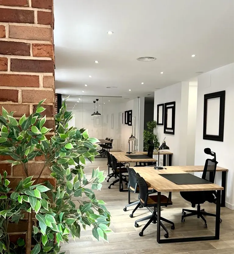 lex-corner-oficionas